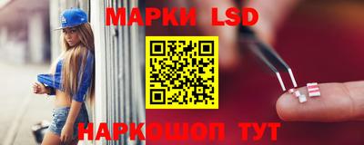 гашик Боровичи