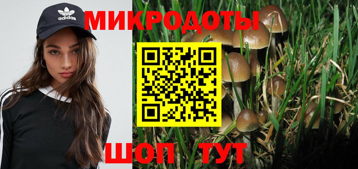Троицк  цены   Вход с VPN  Галлюциногенные грибы Psilocybe 